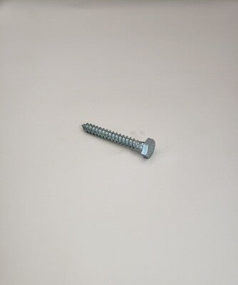 1/4"-10 x 2" Hex Lag Screw - SLX5530PZ